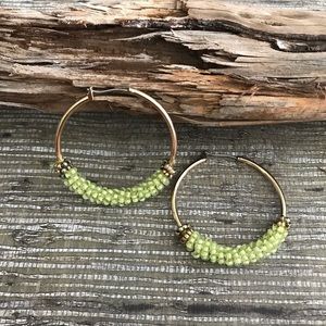 Gold Hoop Earrings